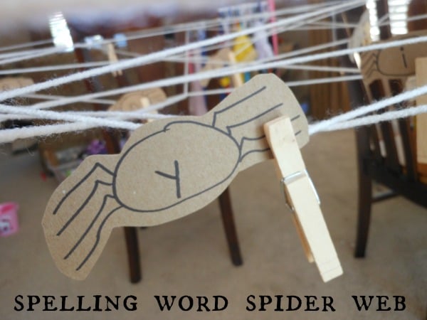 Spelling Words Activity: Spider Web Search