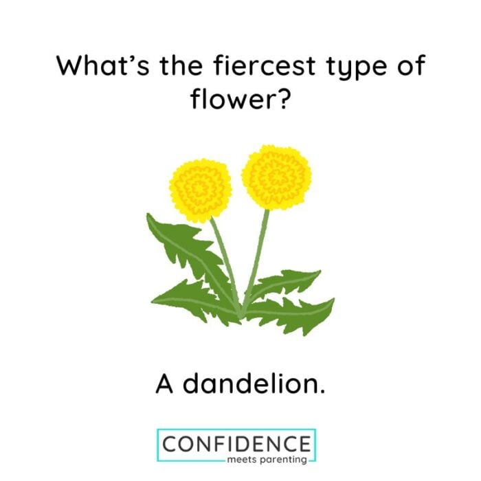 Plant puns and plant jokes